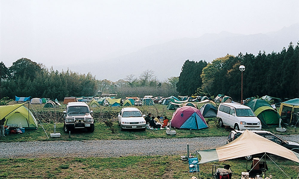 190009001.jpg