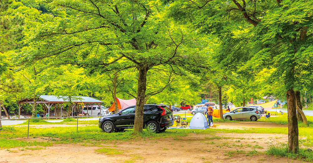 道志川沿いの自然派キャンプサイト