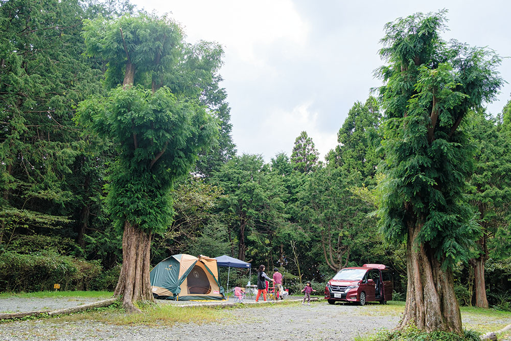 ACN西富士オートキャンプ場 （静岡県 富士山周辺）