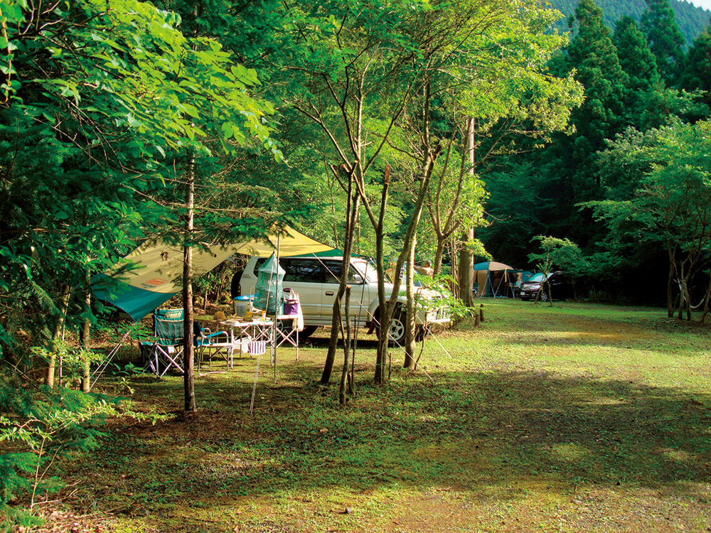 キャンプ場 静岡 安い ペット 地図