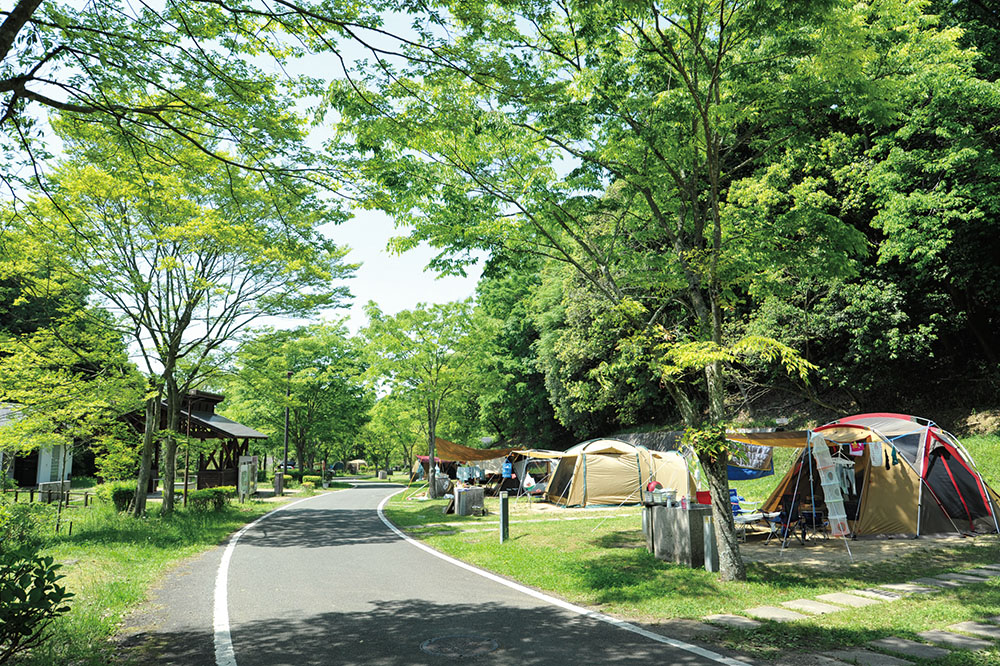 クリアランス まんのう公園キャンプ場 ペット