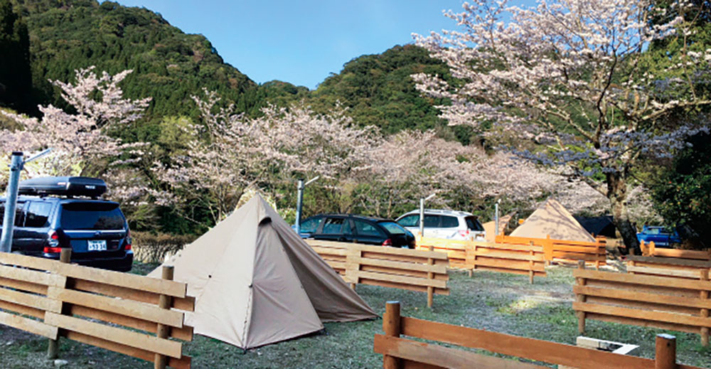 蜂之巣公園オートキャンプ場 （宮崎県 日南北郷）