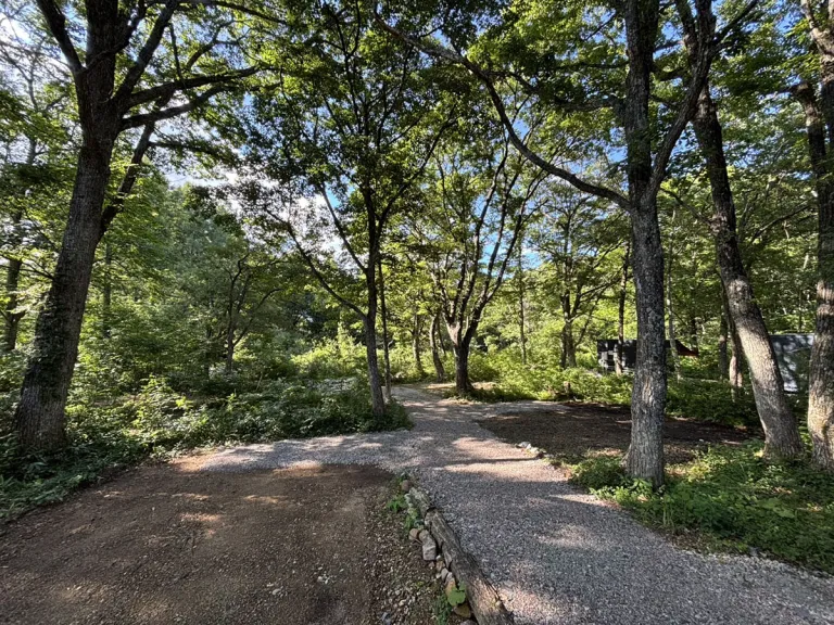 こもれびの森キャンプ荘川 - サイトエリア1木陰が涼しい3つのテントサイト